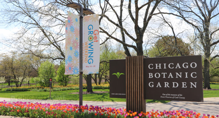 Chicago Botanic Garden image